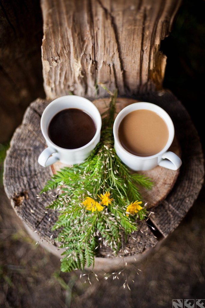 Informacja odnośnie strony internetowej Bazy Gorc