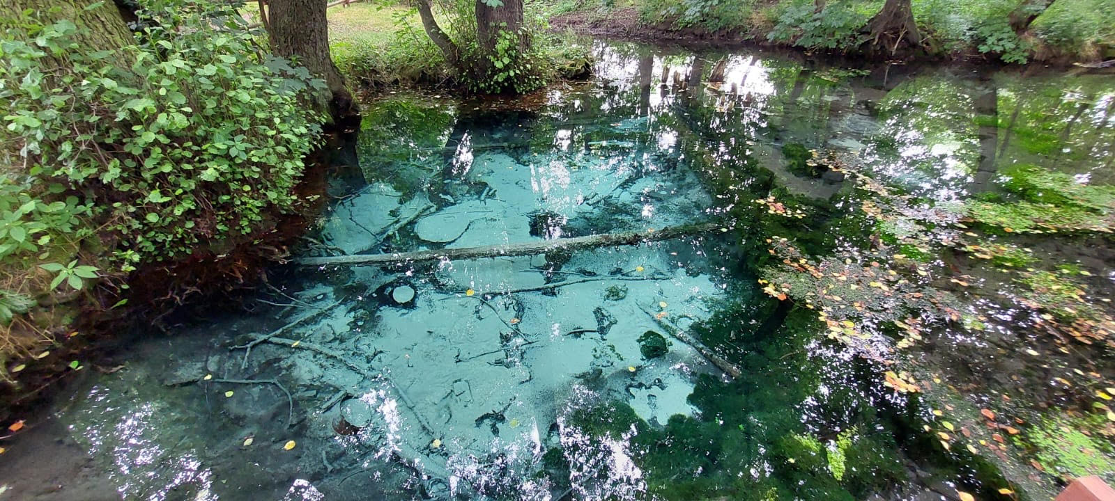 Relacja z czerwcowej „Wyprawy szlakiem ochrony przyrody”